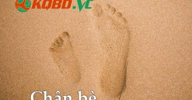 chân bè là gì