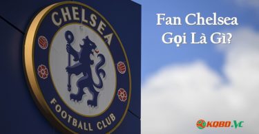 Fan Chelsea gọi là gì