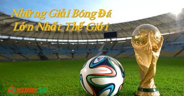 Giải bóng đá lớn nhất thế giới