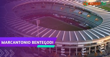 thông tin sân vận động Marc'Antonio Bentegodi